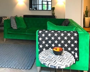 Haresfield Corner Group in Linwood Tango Parakeet