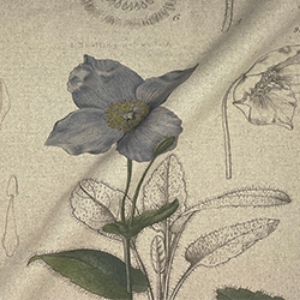 RHS Collection - Lilian Snelling Design: Bulbs Linen