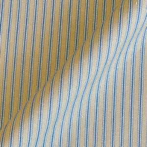 Rustic Ticking: Antique Iris