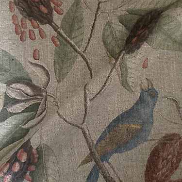 RHS Botanicals - Mark Catesby Grosbeak - Natural