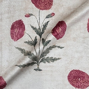 V&A Threads of India Opulent Velvets - Regal Poppy: Chalk