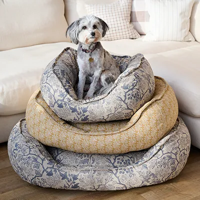 Bespoke comfort for your dog | Introducing dog beds