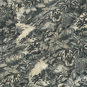 RHS Botanicals on Velvet - Ferns Toile: Spruce