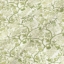 Exclusive Fabric RHS Collection on Velvet - Gertrude Jekyll: Spring