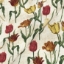 Exclusive Fabric RHS Botanicals on Velvet - Pieter van Kouwenhoorn Tulips: Natural