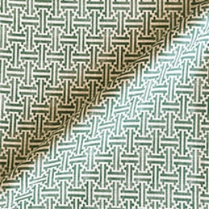 Spill Resistant RHS Gertrude Jekyll Lattice: Green