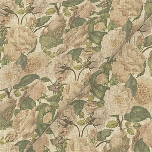 Spill Resistant RHS Etta's Bouquet All Over: Alba