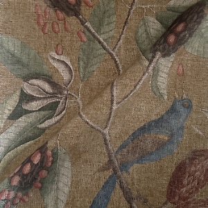 Spill Resistant RHS Mark Catesby Grosbeak: Corn