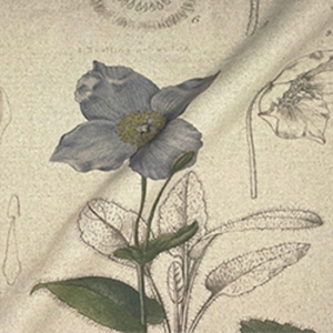 Spill Resistant RHS Lilian Snelling Design: Bulbs