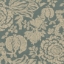 V&A Brompton Collection - Flowering Kale: Pebble