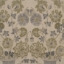 V&A Brompton Collection - Coromandel: Basil