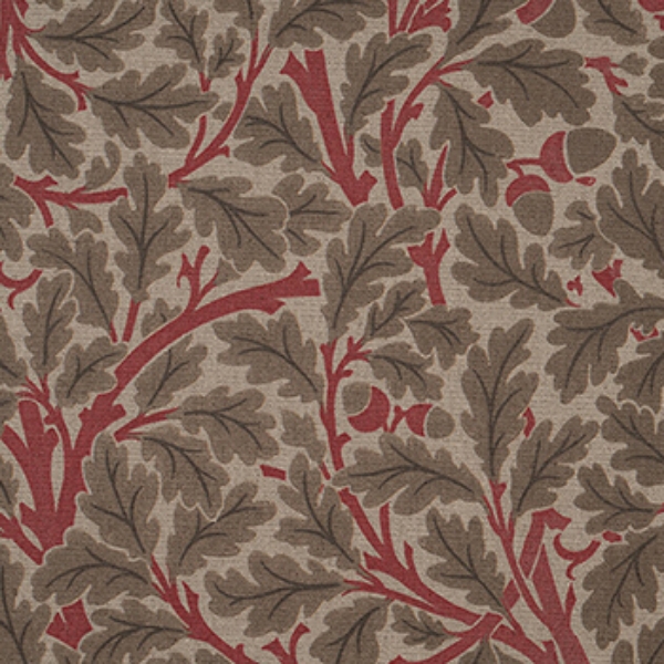 V&A Drawn From Nature - Oak Tree: Red