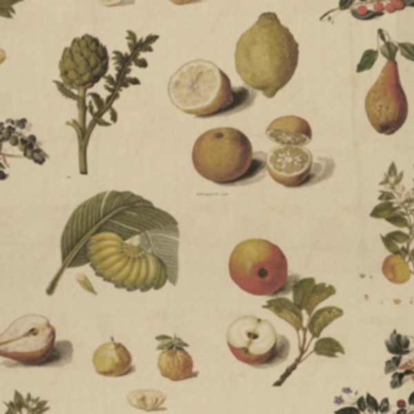 Spill Resistant V&A All Over Botanical Collage: Market Garden