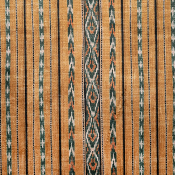 V&A Threads of India Opulent Velvets - Andhra Weave: Gold