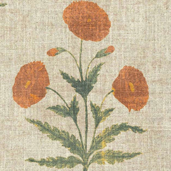 V&A Threads of India on Linen - Regal Poppy: Marigold