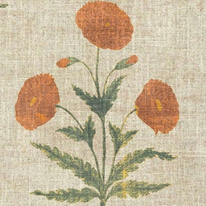 Spill Resistant V&A Regal Poppy: Marigold