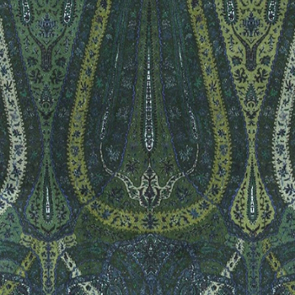 V&A Threads of India Opulent Velvets - Paisley Splendour: Hunter
