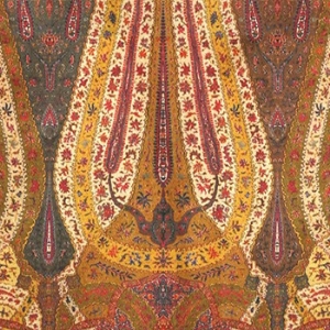 V&A Threads of India Opulent Velvets - Paisley Splendour: Flame