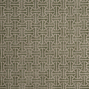 RHS Collection - Gertrude Jekyll Lattice: Olive