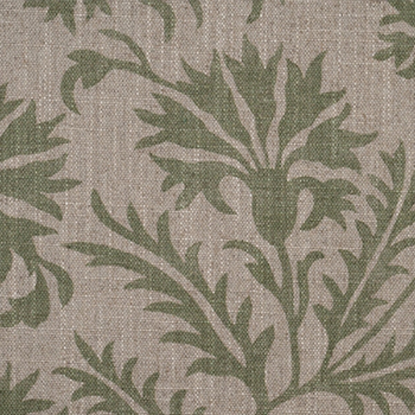 RHS Collection - Gertrude Jekyll Meadow Flower: Olive