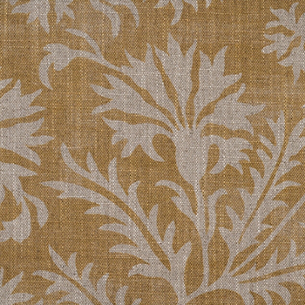 RHS Collection - Gertrude Jekyll Meadow Flower Reversed: Gold