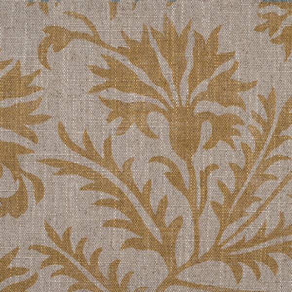 Spill Resistant RHS Gertrude Jekyll Meadow Flower: Gold
