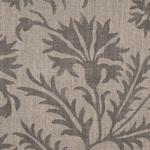 Spill Resistant RHS Gertrude Jekyll Meadow Flower: Brown