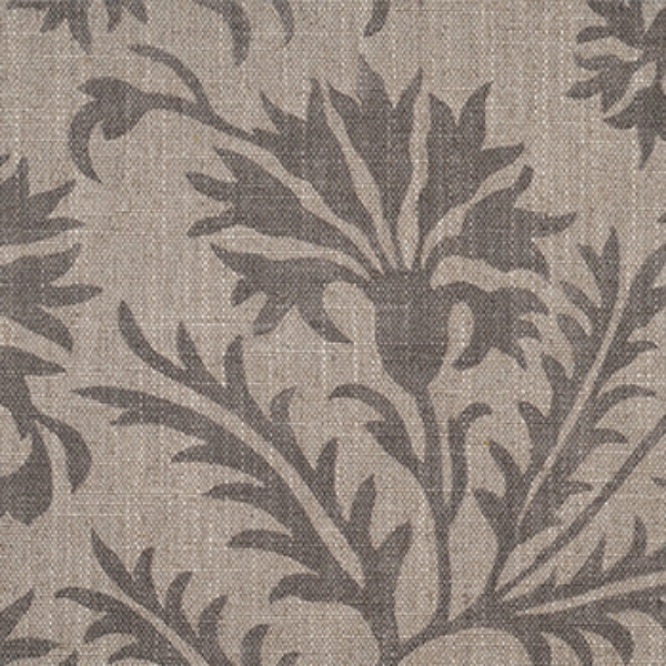 Spill Resistant RHS Gertrude Jekyll Meadow Flower: Brown