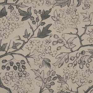 Spill Resistant RHS Gertrude Jekyll: Grey