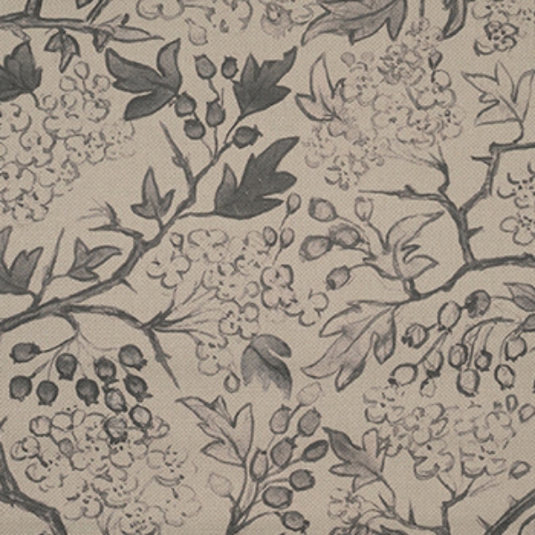 Spill Resistant RHS Gertrude Jekyll: Grey