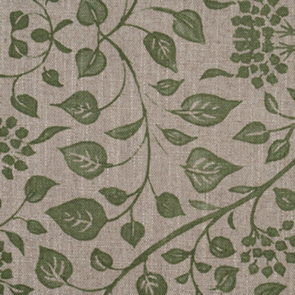 Spill Resistant RHS Gertrude Jekyll Trailing Vine: Olive