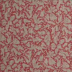 RHS Collection - Gertrude Jekyll Folklore: Red