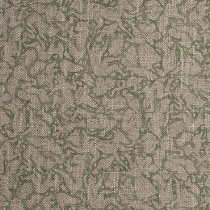 RHS Collection - Gertrude Jekyll Folklore: Olive