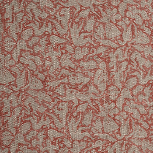 Spill Resistant RHS Gertrude Jekyll Folklore: Terracotta