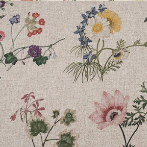 RHS Collection -  Caroline Maria Applebee Collage: Wildflowers