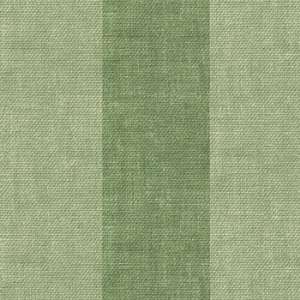 Furrow Stripe Broad: Sage