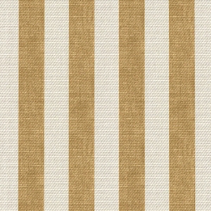 Horizon Stripe Narrow: Turmeric