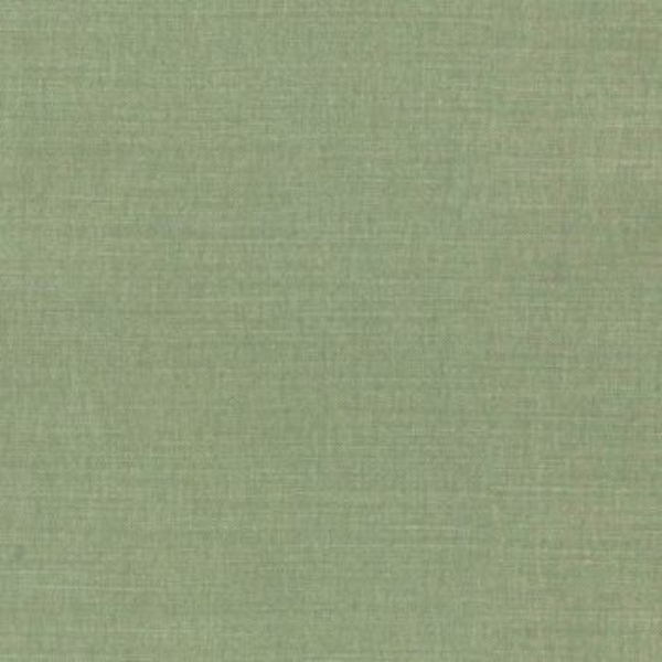 Signature Plain: Spinach