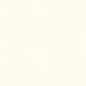 Signature Plain: Oyster