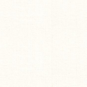 Signature Plain: Coconut