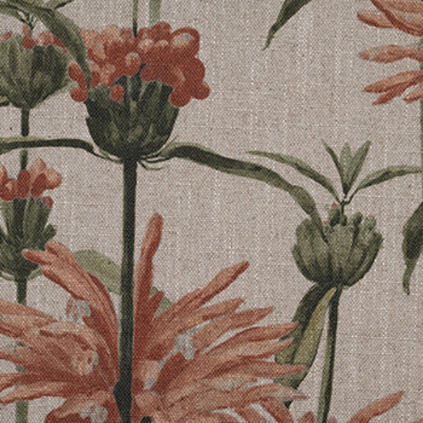 Spill Resistant RHS Henry Moon Lions Tail: Terracotta