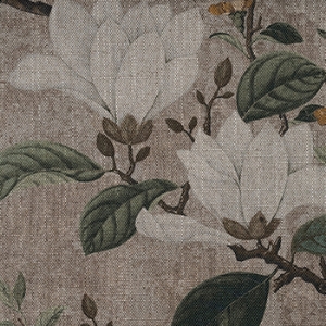 RHS Botanicals - Plantae Japonicae: Stone