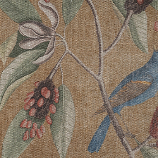 Spill Resistant RHS Mark Catesby Grosbeak: Corn