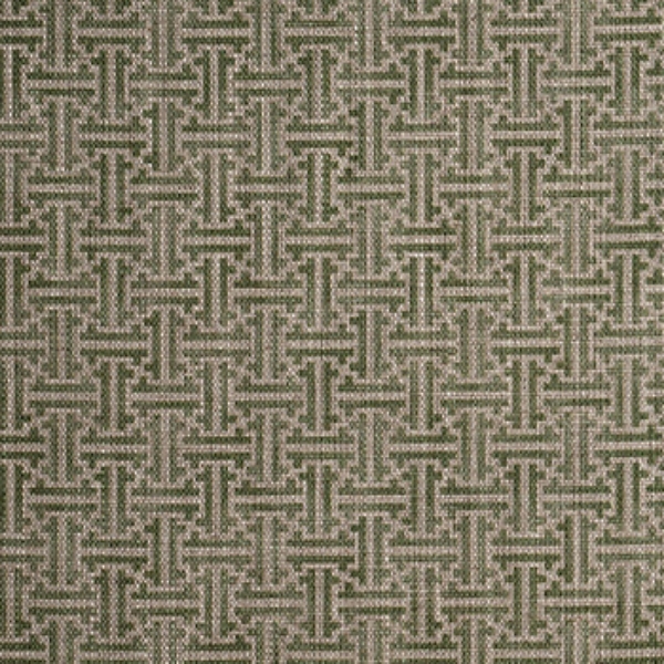 Spill Resistant RHS Gertrude Jekyll Lattice: Olive