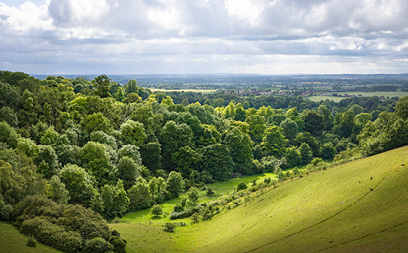 Chiltern Hills