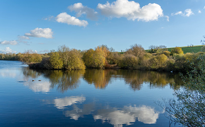 Langford Lakes Nature Reserve