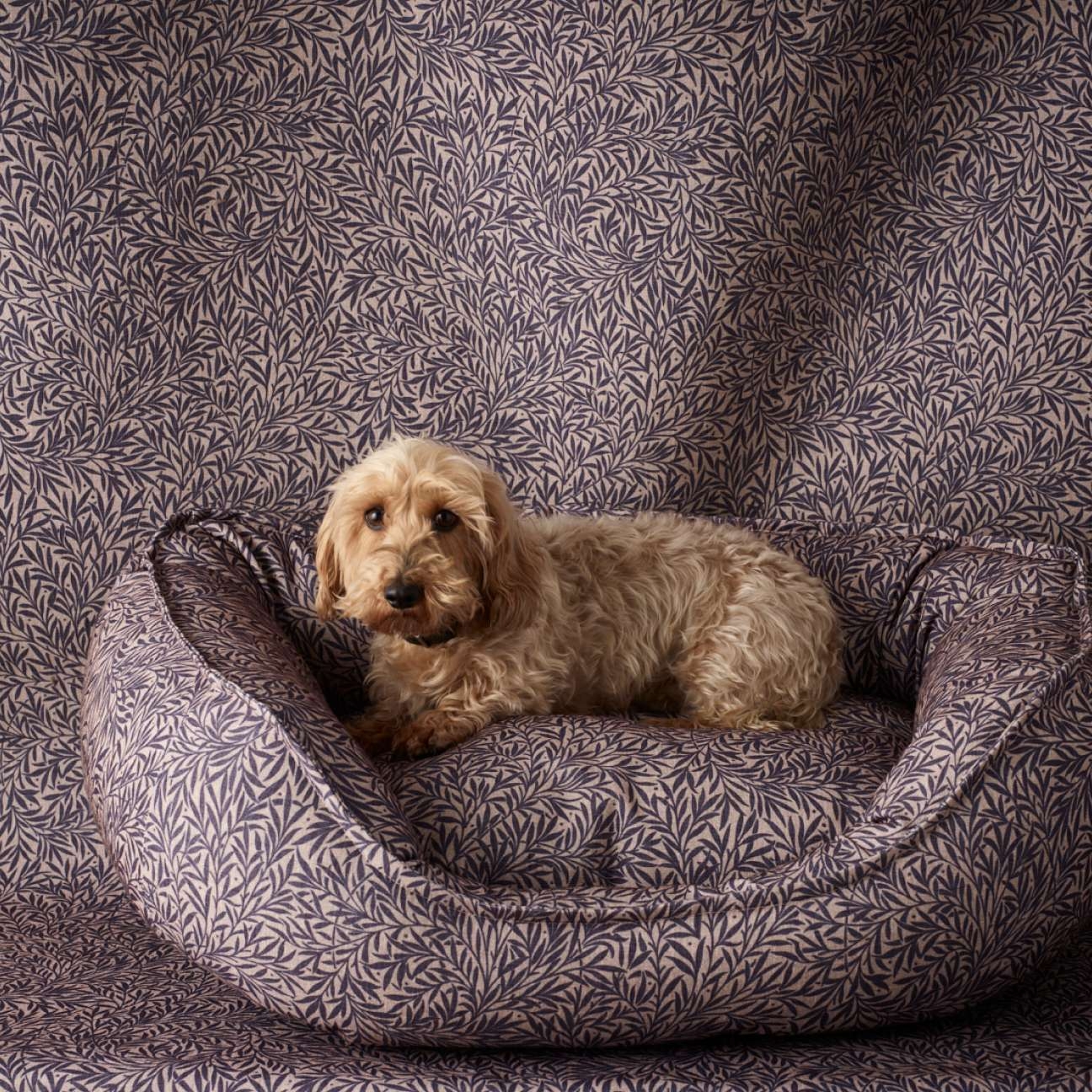 Discover it up close