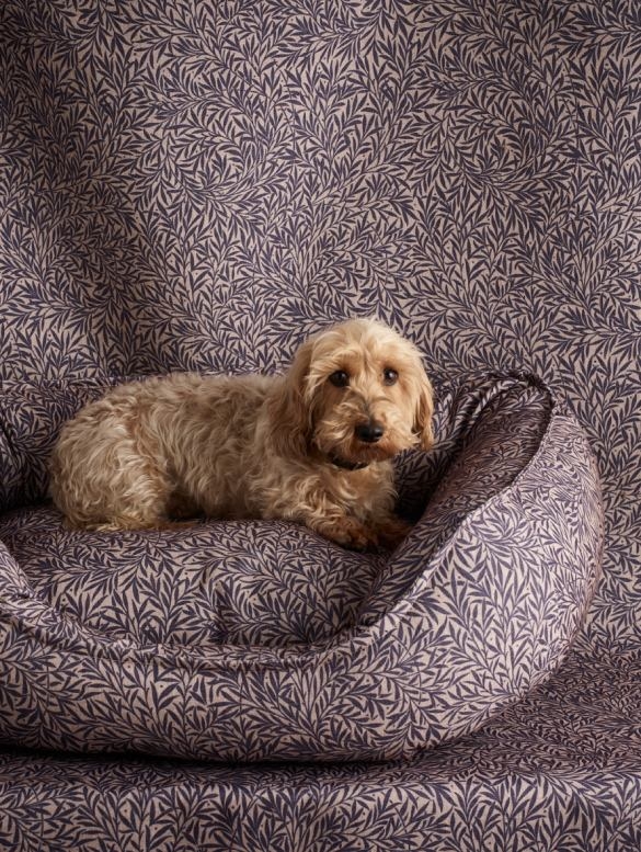 Discover it up close